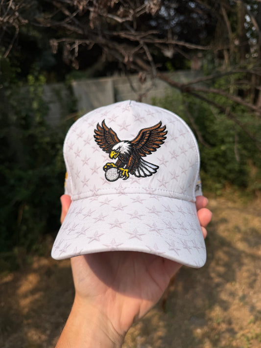 - USA 250 hat